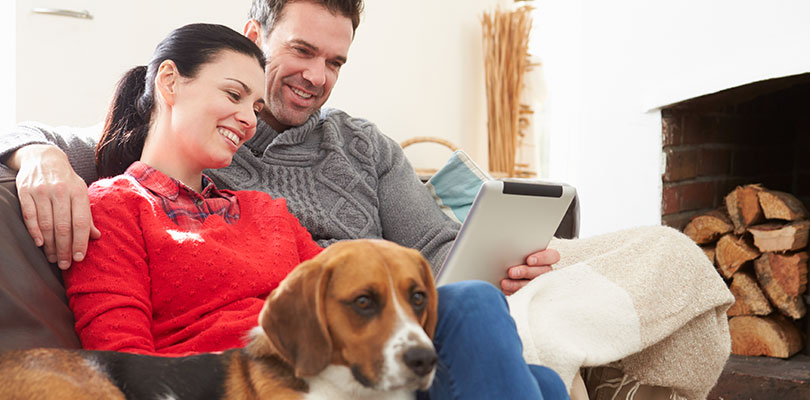 A couple is sitting on a couch with their dog laying down beside them