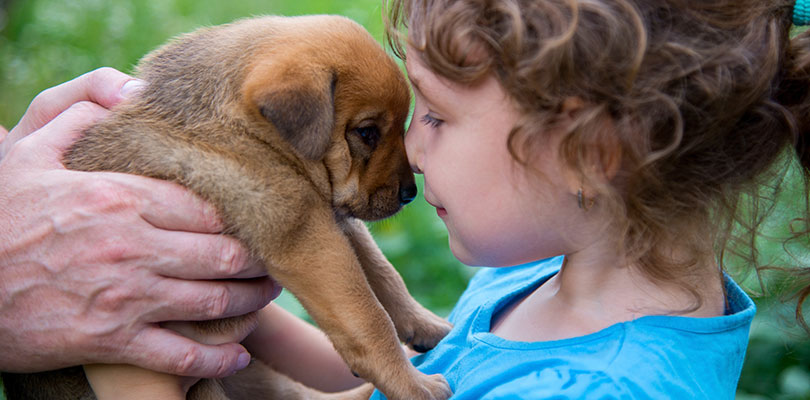 A young child places their nose against the puppy's snout