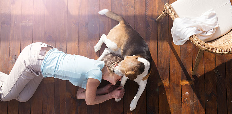 A woman is laying on the ground while holding her dog's paw