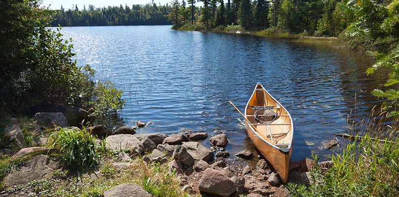 Water Resets Emotions and Inspires Creativity