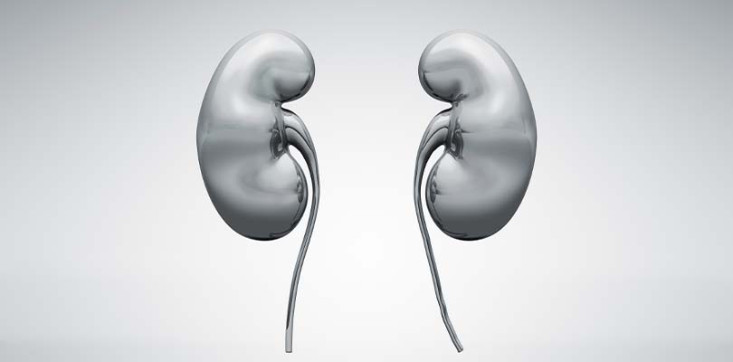 A black and white image of a pair of kidneys.